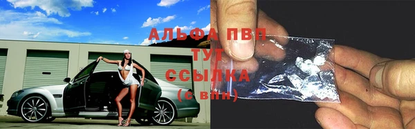 крисы Алзамай