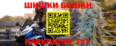 шишки Донской