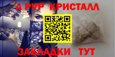 шишки Донской